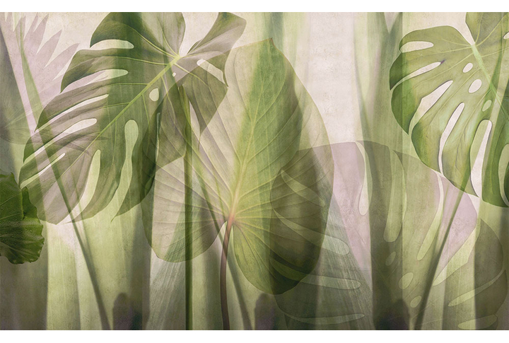 Фотообои «Листья монстеры и тропических растений»