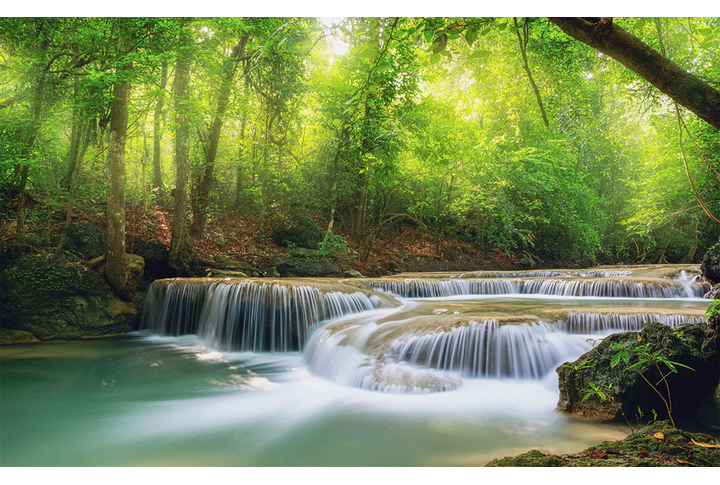 Фотообои «Водопад в лесной глуши»