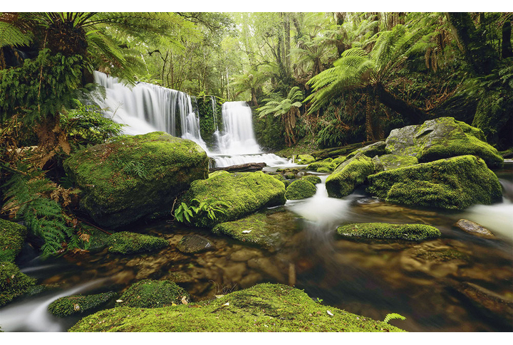 Фотообои «Водопад в джунглях»