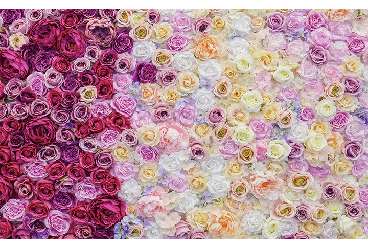 Фотообои «Розы стеной»