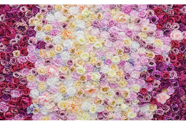 Фотообои «Нежные розы в обрамлении красных роз»