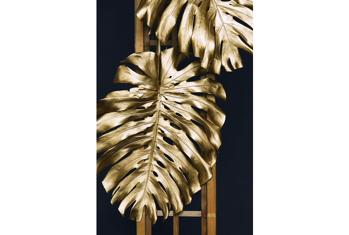 Фотообои «Монстера голд»