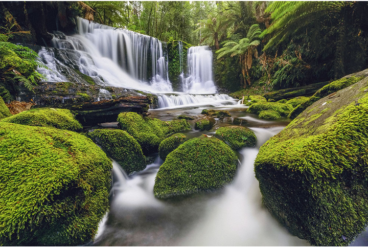 Фотообои «Водопад в тропиках»