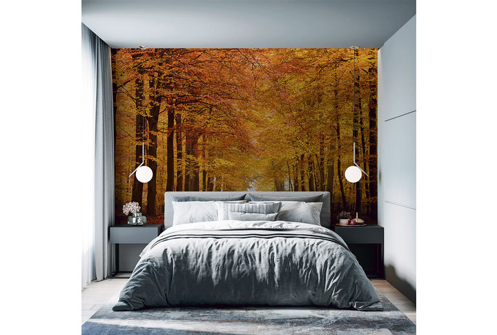 Фотообои «Осенний лес в парке, природа в ярких красках» в интерьере