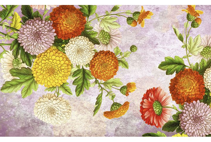 Фотообои «Цветы маргаритки»