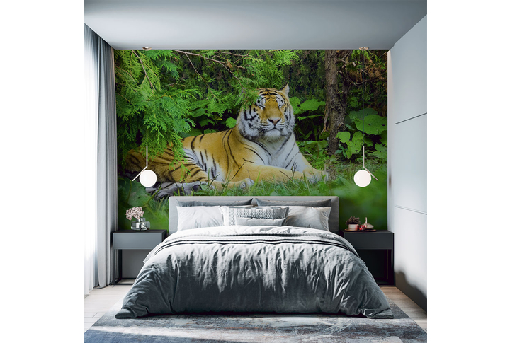 Фотообои «Тигр под деревом» в интерьере
