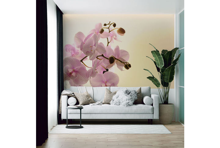 Фотообои «Розовые орхидеи на бежевом фоне» в интерьере