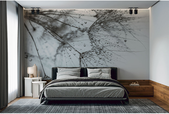 Фотообои «Одуванчик в черно-белых тонах» в интерьере