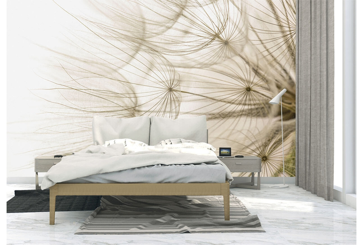 Фотообои «Макро одуванчик» в интерьере