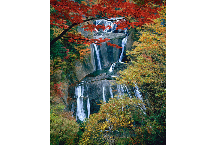 Фотообои «Осенний водопад в лесу»