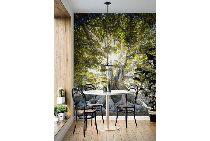 Фотообои «Старое лесное дерево в лучах солнца» в интерьере