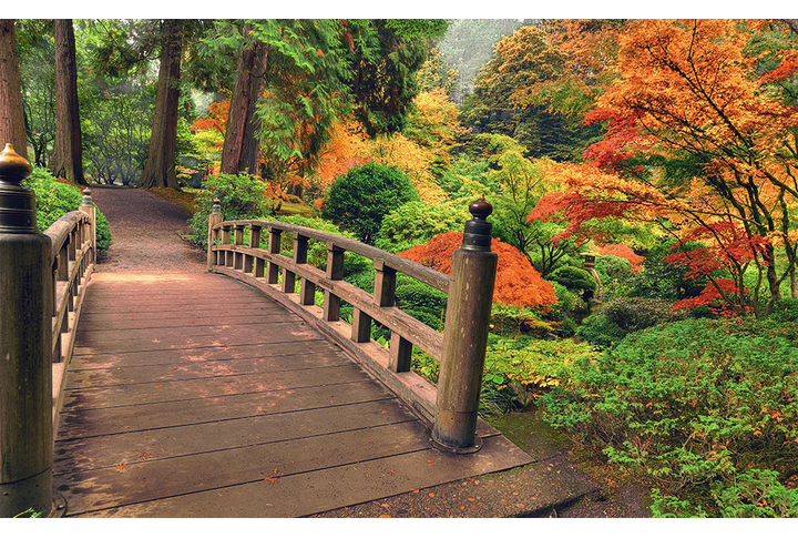 Фотообои «Деревянный мостик в осеннем лесу»