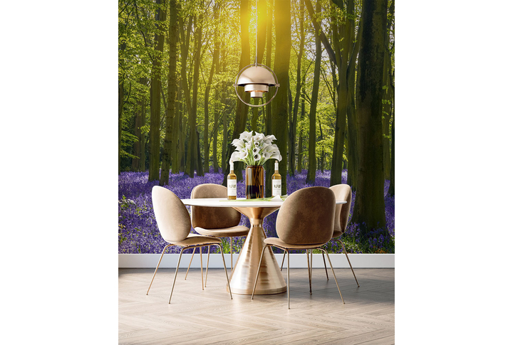 Фотообои «Цветущая поляна в солнечном лесу» в интерьере