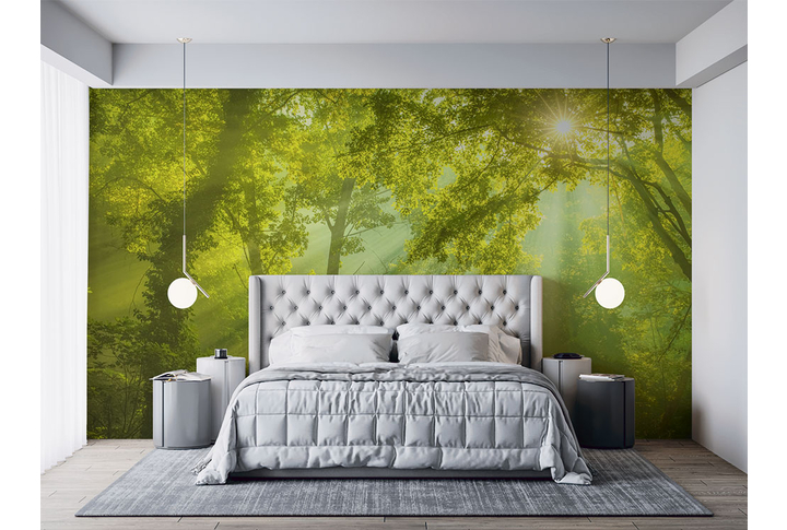 Фотообои «Солнечный лес в тумане» в интерьере