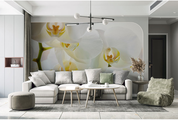 Фотообои «Белая орхидея» в интерьере