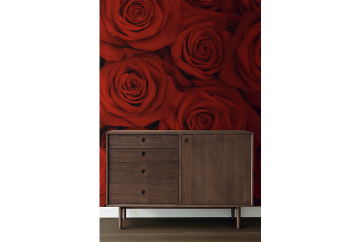 Фотообои «Большие красные розы» в интерьере