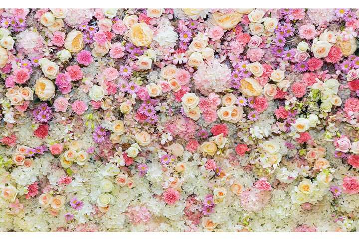 Фотообои «Стена из цветов роз и маргариток»