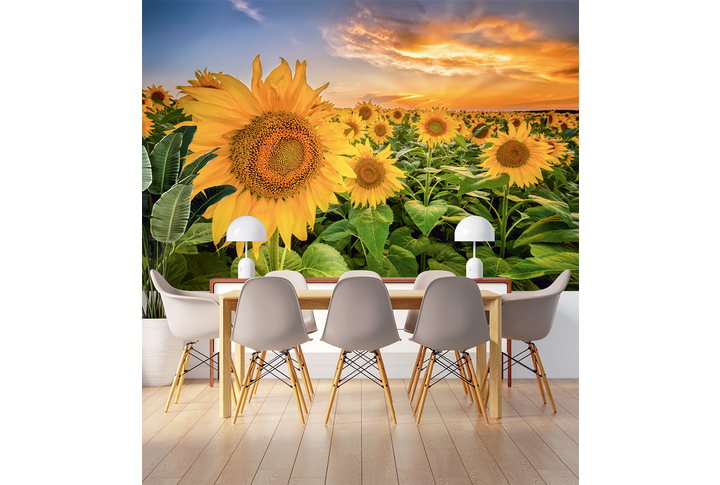 Фотообои «Закат над полем подсолнухов» в интерьере
