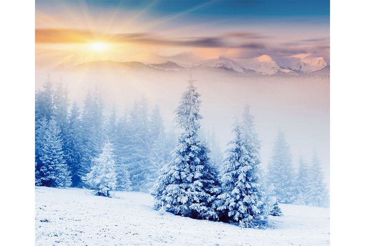 Фотообои «Рассвет над зимним лесом в горах»