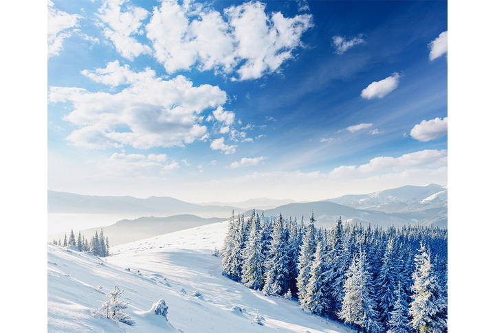 Фотообои «Лес зимой в заснеженных горах»