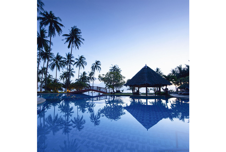 Фотообои «Тропический пейзаж с пальмами у моря в холодных тонах»