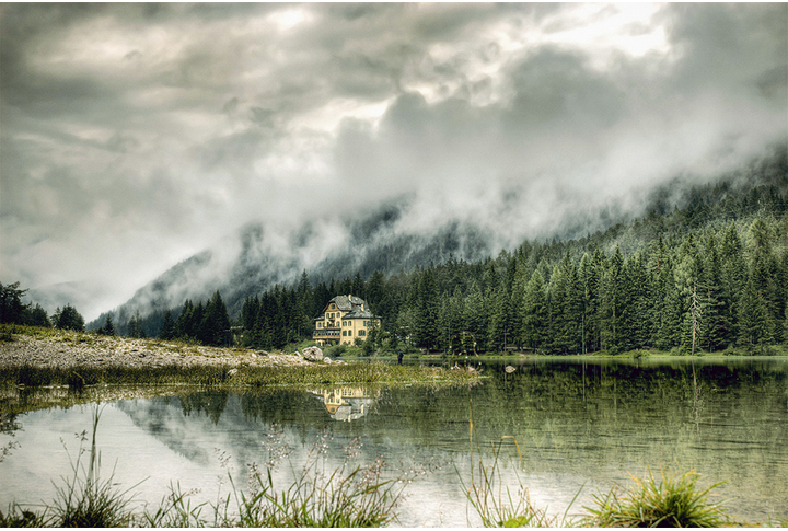 Фотообои «Туманная природа, лес у озера»