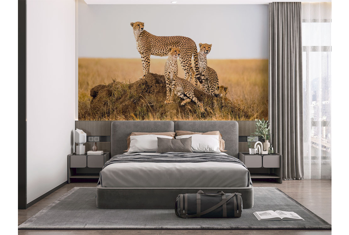 Фотообои «Гепарды в саванне» в интерьере