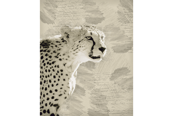 Фотообои «Гепард в стиле арт»