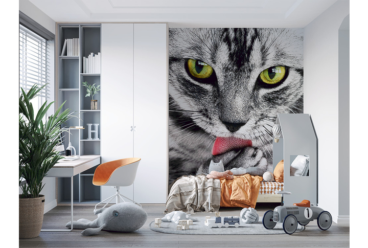 Фотообои «Кошка с желтыми глазами» в интерьере