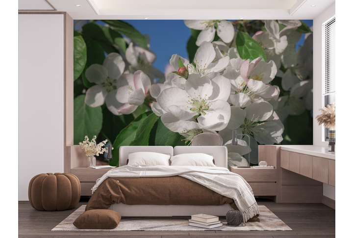 Фотообои «Яблоневый цвет» в интерьере