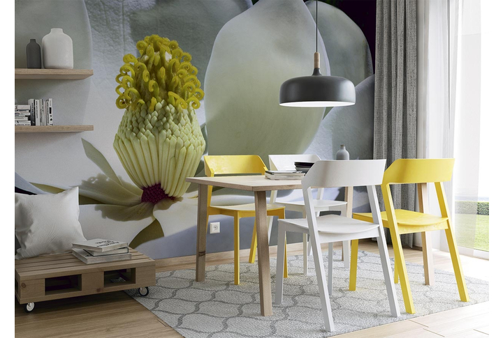 Фотообои «Большой цветок магнолии» в интерьере