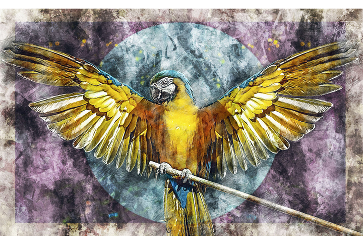 Фотообои «Яркий попугай под рисунок»