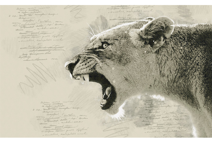 Фотообои «Львица под рисунок»