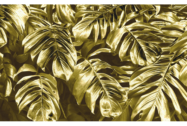 Фотообои «Золотые листья монстеры»