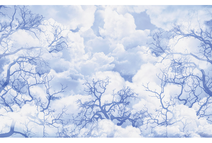 Фотообои «Ветки в облаках»