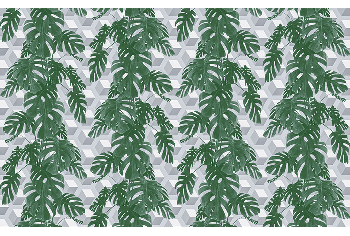 Фотообои «Раскидистая монстера на кубах»