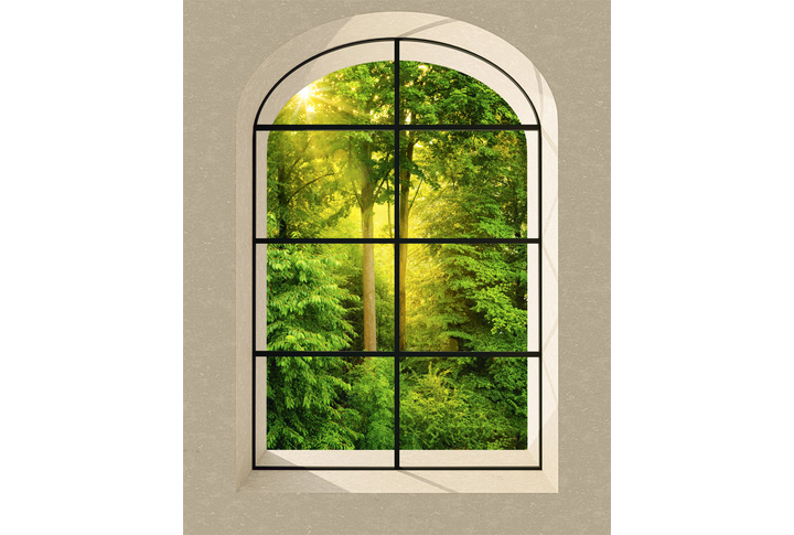 Фотообои «Окно с видом на солнечный утренний лес»
