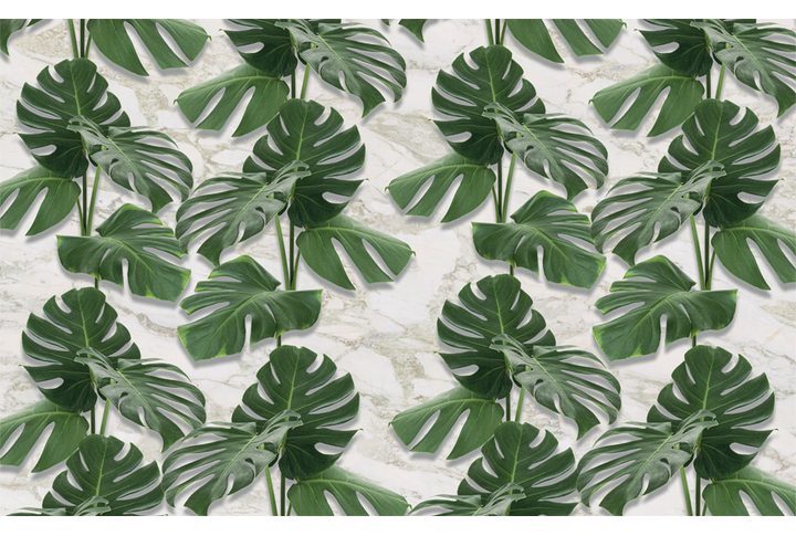 Фотообои «Тропическая монстера на мраморе»