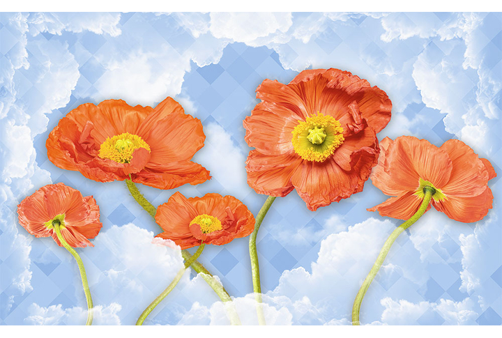 Фотообои «Маки и облака»