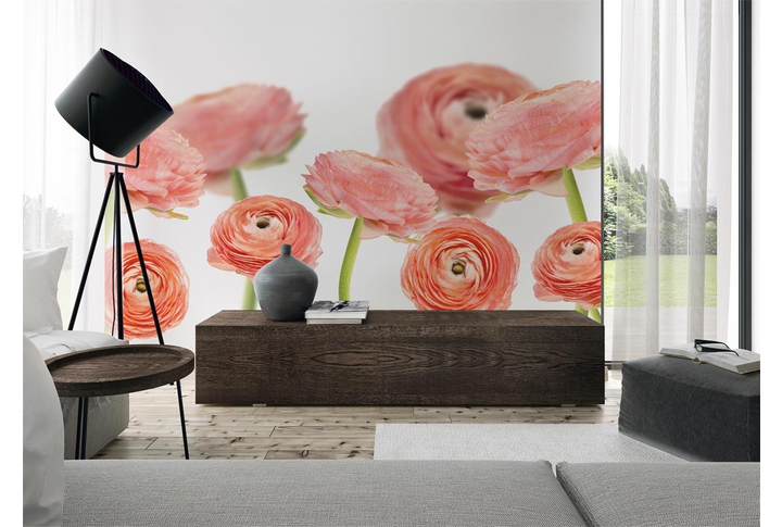 Фотообои «Пионы на светлом фоне» в интерьере
