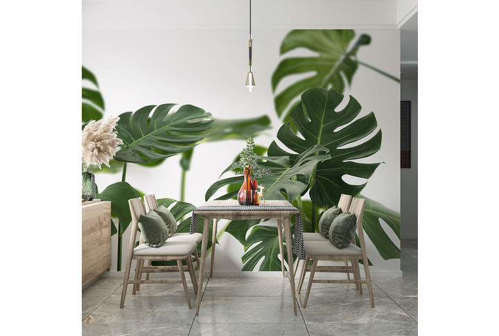 Фотообои «Монстера на белом фоне» в интерьере