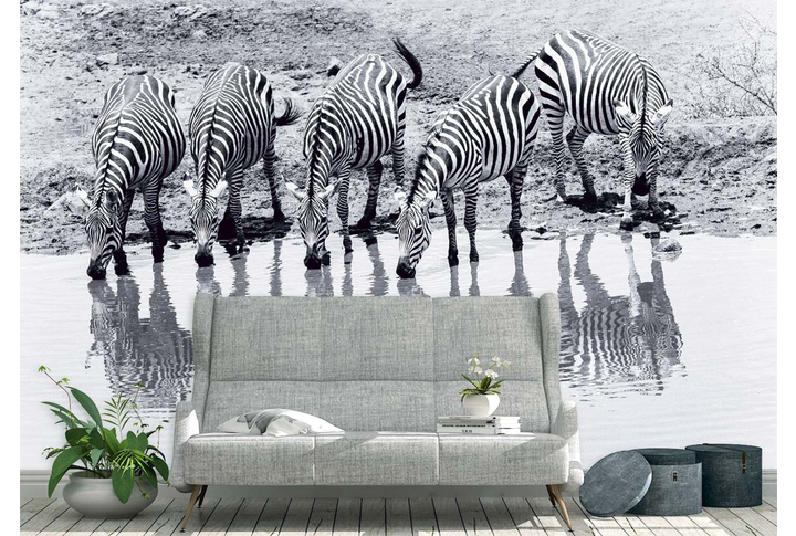 Фотообои «Зебры на водопое» в интерьере