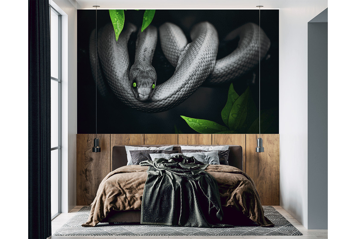 Фотообои «Зеленоглазая змея в черно-белом» в интерьере