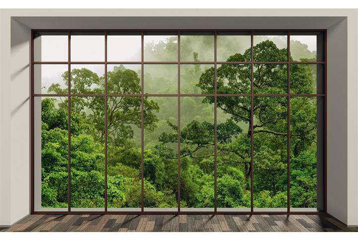 Фотообои «Вид из окна на туманный лес»