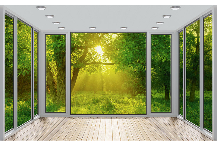 Фотообои «Окно в солнечном лесу»