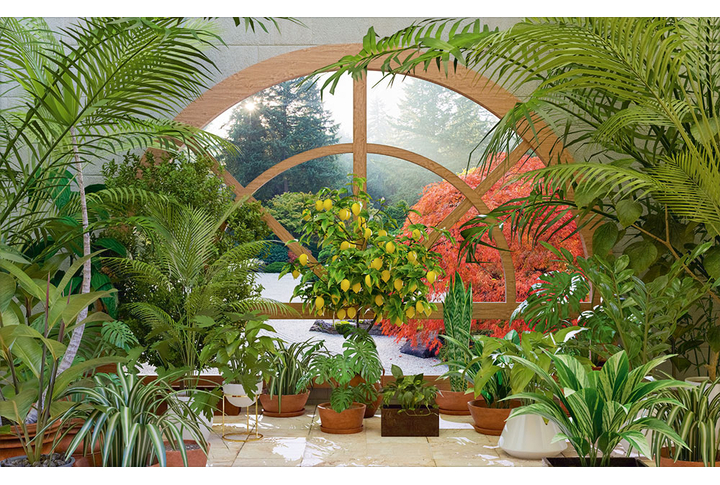 Фотообои «Окно в тропическом зимнем саду»