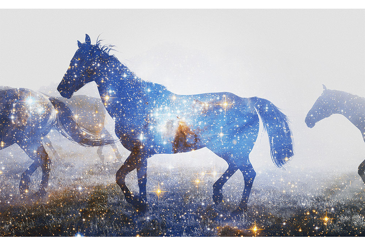Фотообои «Звездные лошадки»