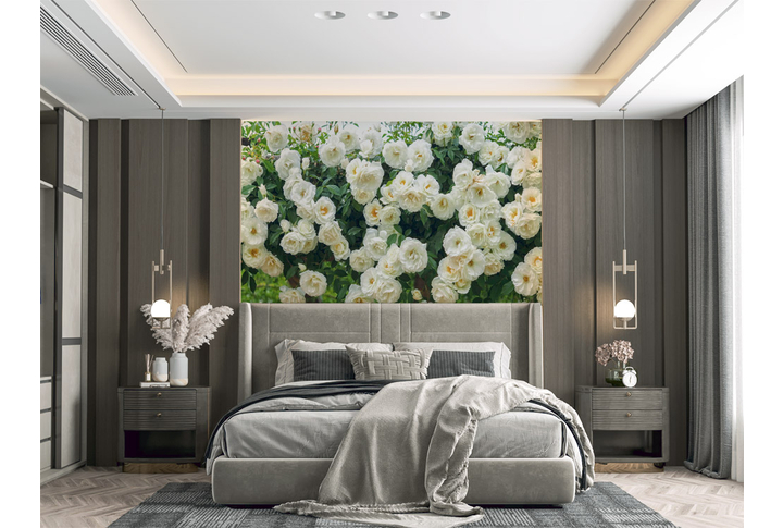 Фотообои «Вьющиеся белые розы» в интерьере