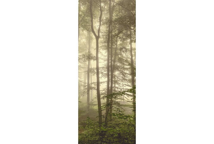 Фотообои «Лес в солнечном тумане»