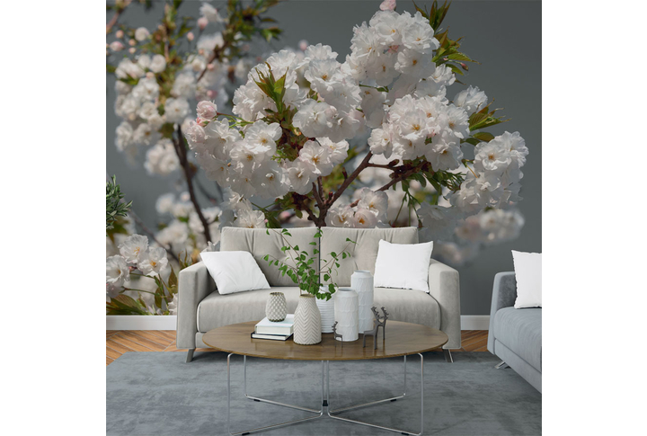 Фотообои «Бело-розовые цветки сакуры на ветке» в интерьере